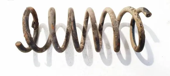 Ford S-MAX Rear coil spring 