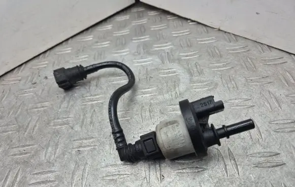 Dacia Sandero Vacuum valve 8200248821 269516045
