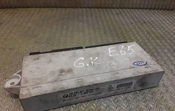 BMW 7 E65 E66 Door control unit/module 6958447