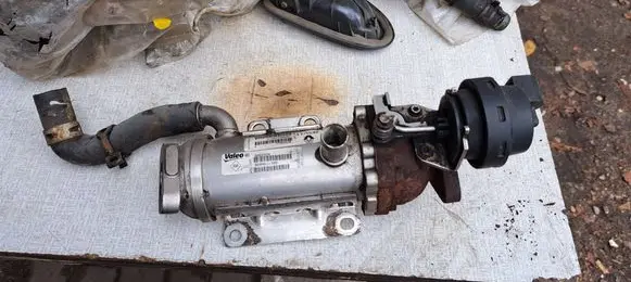 Renault Trafic II (X83) EGR valve cooler 8200611709
