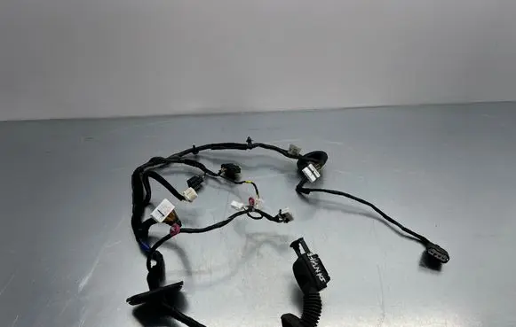 Front door wiring loom