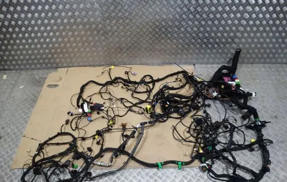 Porsche Cayenne (9Y0 9Y3) Other wiring loom