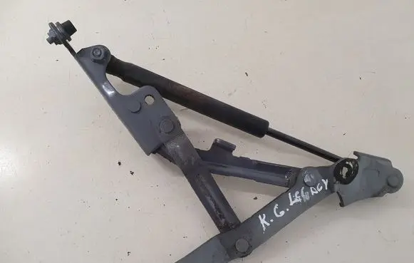 Tailgate/trunk/boot hinge