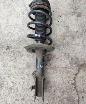 Nissan Qashqai Front shock absorber with coil spring 54303 82903006384