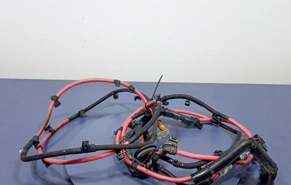 Other wiring loom
