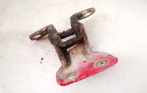 Rear door lower hinge