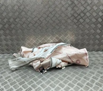 Cupra Born Roof airbag 10A880742H