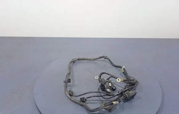 BMW X6 E71 Other wiring loom 9224415