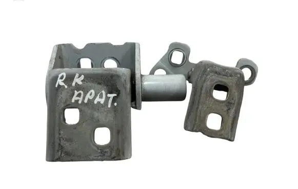 Renault Clio III Front door hinges set 864613