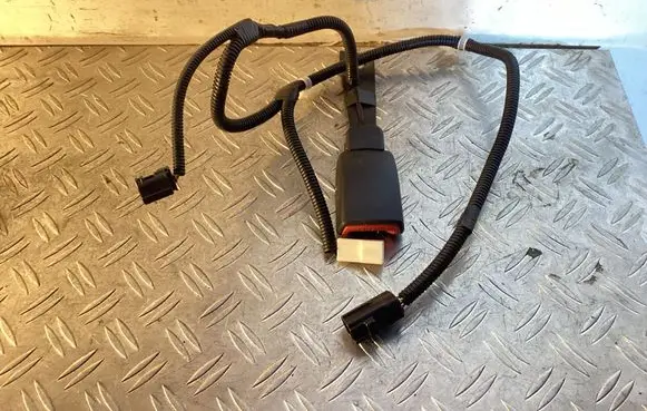 Toyota Prius (XW30) Front seatbelt buckle E034501