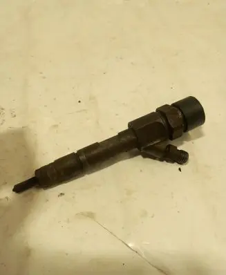 Renault Megane II Fuel injector 0445110