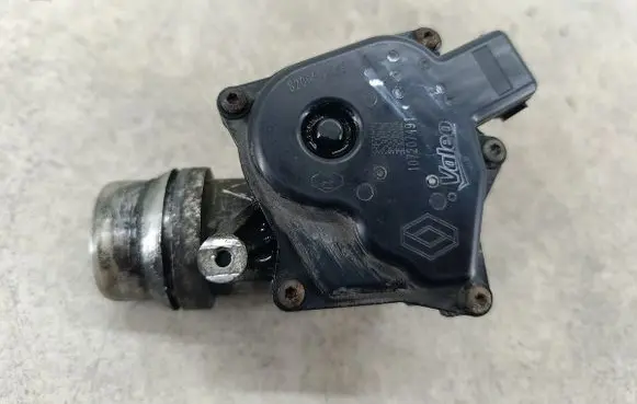 Dacia Lodgy Throttle body valve 