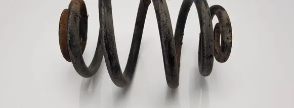 Ford Galaxy Rear coil spring