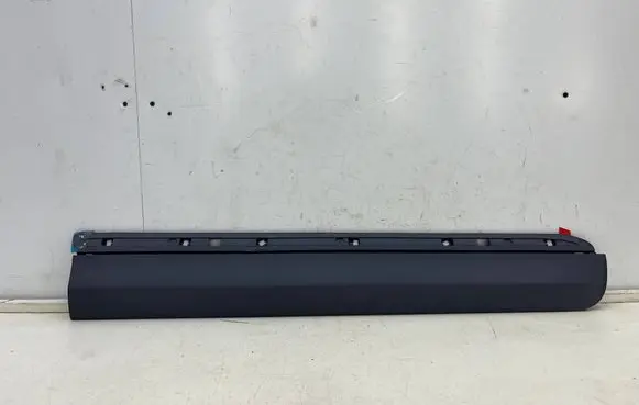 Front door trim (molding)