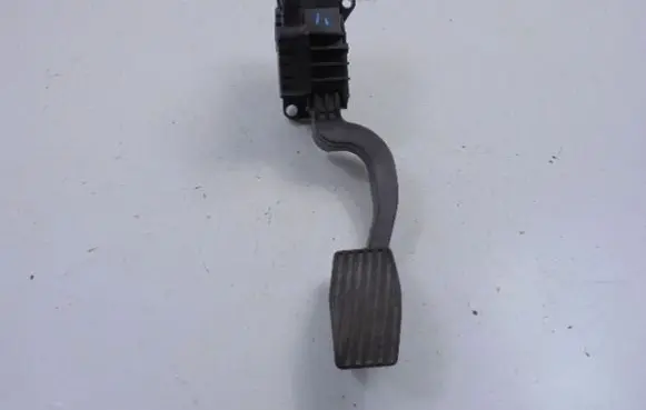 Fiat Punto (199) Accelerator pedal position sensor 55702020