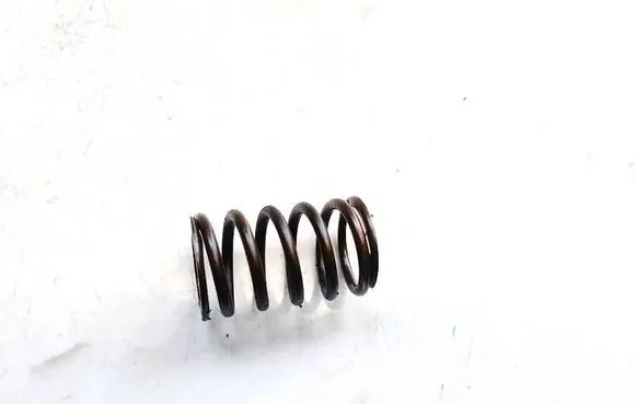 Volkswagen PASSAT B6 Valve spring 