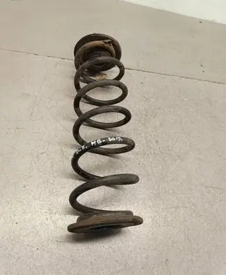 Rear coil spring