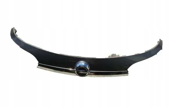Opel Insignia A Trunk door license plate light bar 