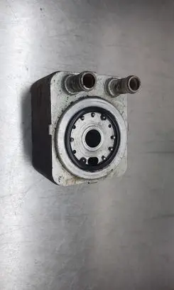 Volkswagen PASSAT B6 Engine oil radiator 