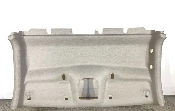 Peugeot Expert Headlining 98118819BJ