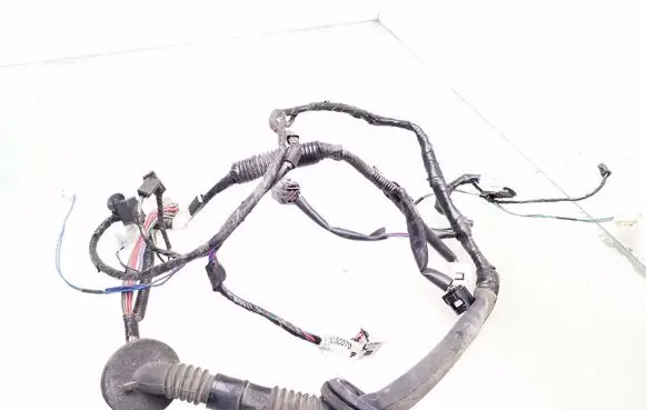 Front door wiring loom