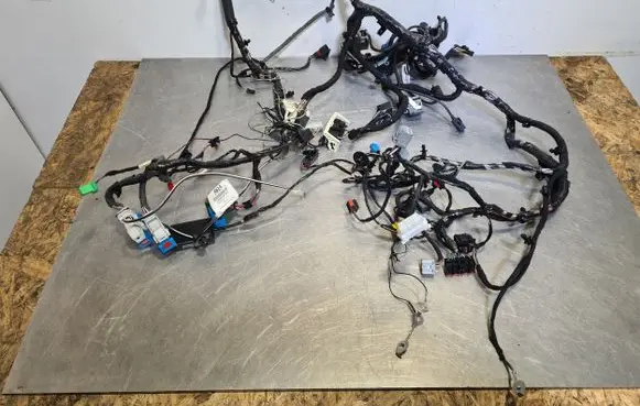 Ford Focus ST Front door wiring loom F1FT-1440-CEC