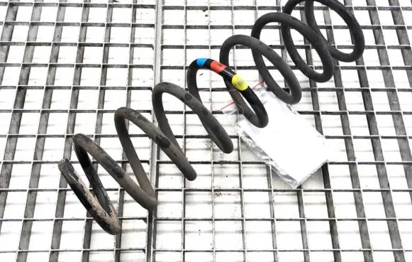 Rear coil spring