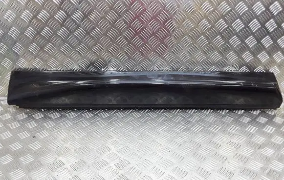 Land Rover Range Rover Sport L320 Front door trim (molding) DGP000211