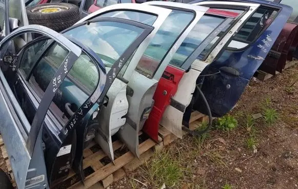 Renault Scenic I Front door