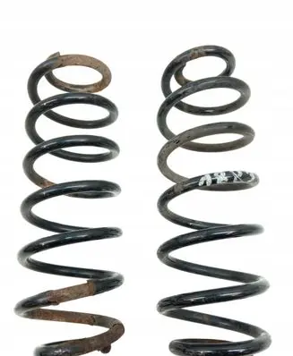 Volkswagen Tiguan Rear coil spring 