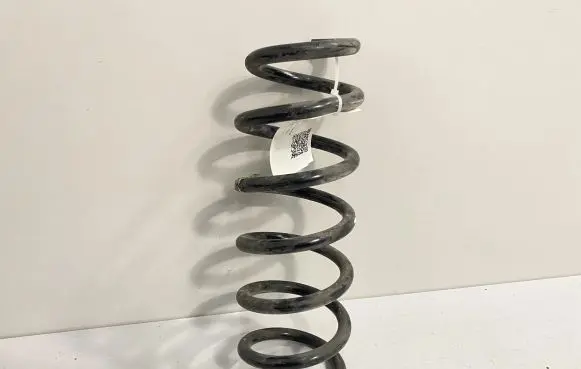 Front coil spring