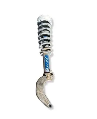 BMW X6 E71 Front shock absorber/damper 