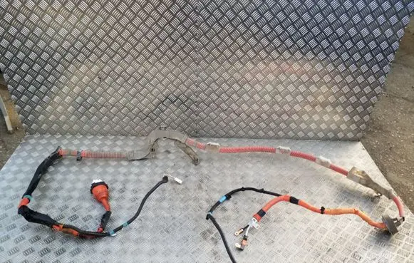 Lexus CT 200H Other wiring loom 8216476020
