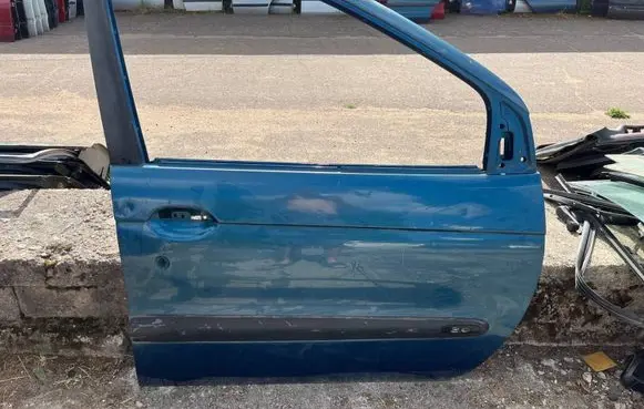 Renault Scenic I Front door