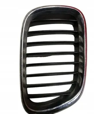 BMW X5 E53 Front grill 8247676