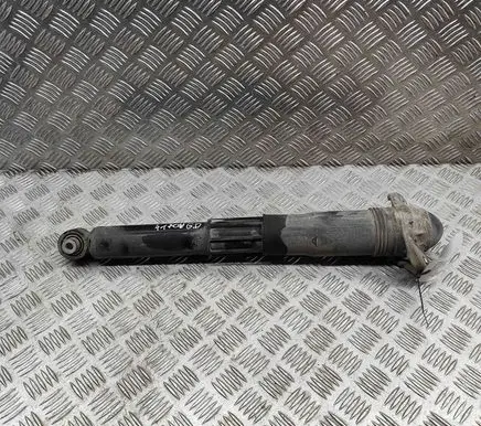 Volkswagen ID.4 Rear shock absorber/damper 1EA512013AD