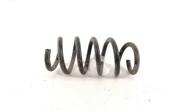 Tesla Model Y Rear coil spring 228847400A