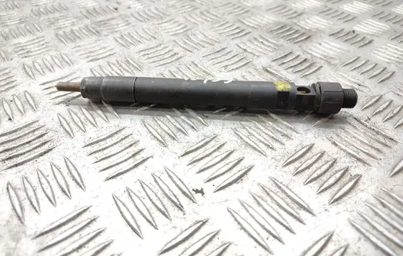 Citroen C5 Fuel injector 9686191080