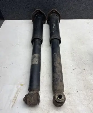 Land Rover Range Rover L322 Rear shock absorber/damper 6753057
