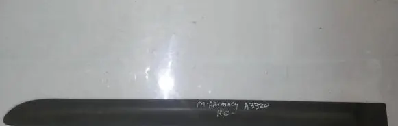 Rear door trim (molding)