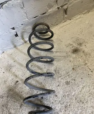 Citroen C3 Pluriel Rear coil spring