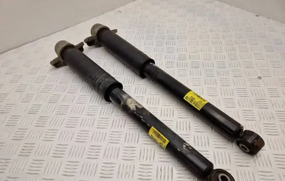 Opel Zafira C Rear shock absorber/damper 13419902 522953660