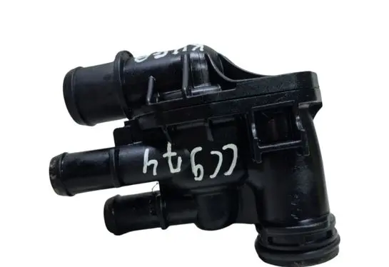 Thermostat/thermostat housing