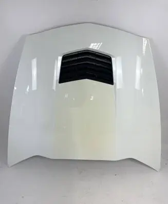 Chevrolet Corvette C7 Engine bonnet/hood