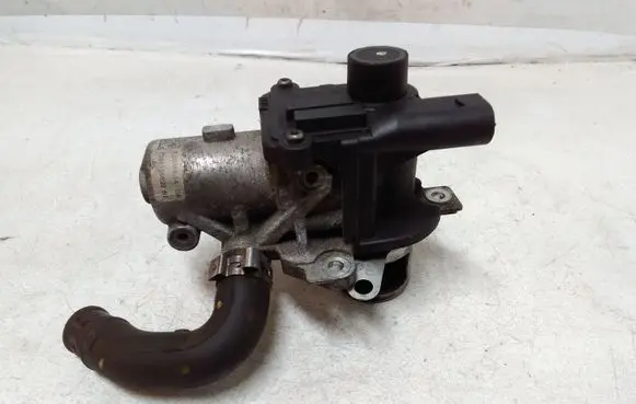 Nissan Juke I F15 EGR valve 70036814 7248155622 D501916000