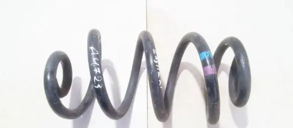 Nissan Qashqai+2 Rear coil spring