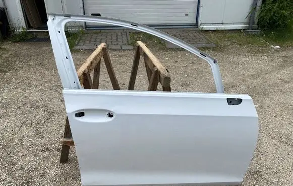 Volkswagen Golf VIII Front door 5H4831312L