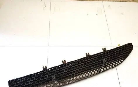 Front bumper lower grill