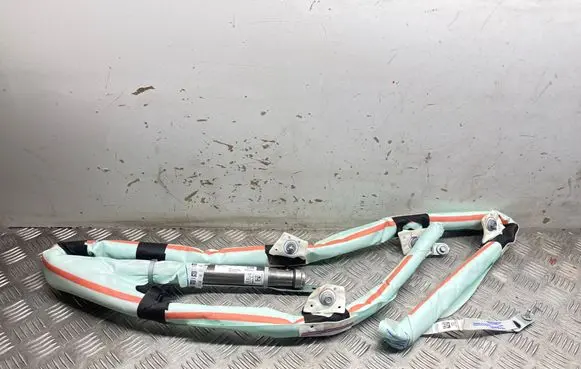 Tesla Model Y Roof airbag 1675066EUC