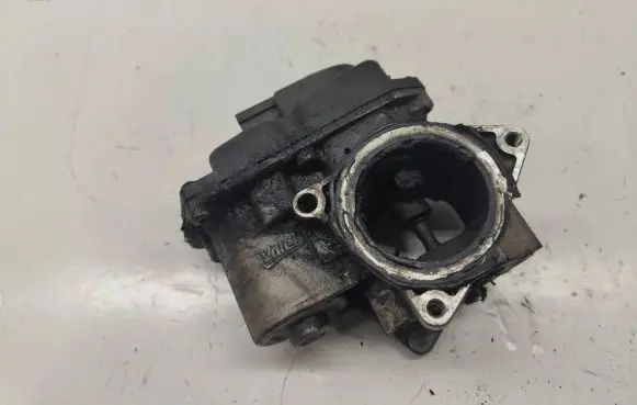EGR valve